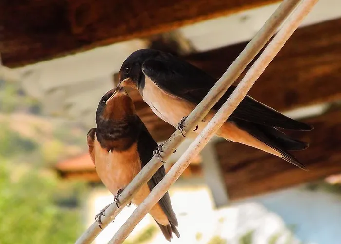 To Archontiko Guesthouse Villa