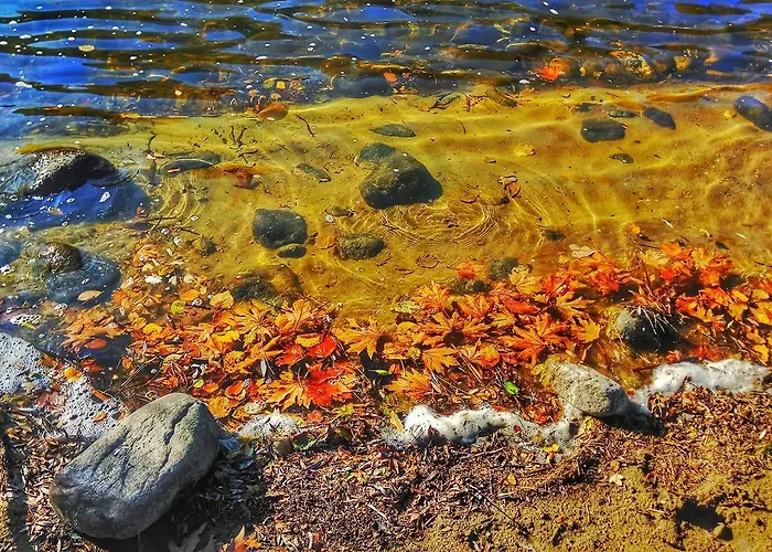 Guest house To Archontiko Guesthouse Villa