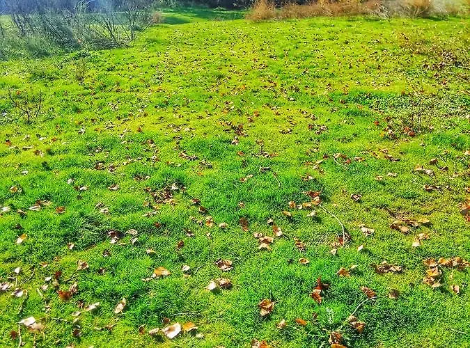 To Archontiko Guesthouse Villa Stavroupoli