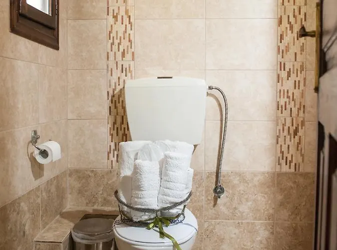 To Archontiko Guesthouse Villa 4*