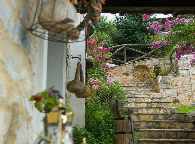 Guest house To Archontiko Guesthouse Villa 4*